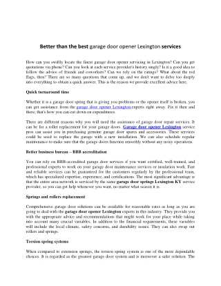 Better than the best garage door opener Lexington services