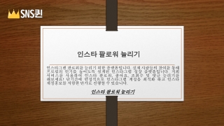인스타 팔로워 늘리기  SNS퀸