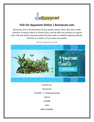 Fish For Aquarium Online  Bunnycart.com