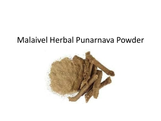 Punarnava Powder