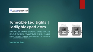 Tuneable Led Lights | Ledlightexpert.com