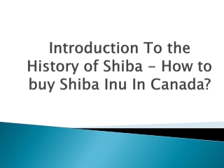 Introduction To the History of Shiba - How to buy Shiba Inu In Canada?