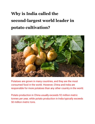 Why is India called the second-largest world leader in potato cultivation