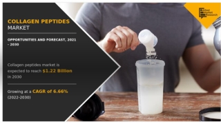 Collagen Peptides Market Size, Share | Opportunities