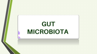 Gut Microbiota for health