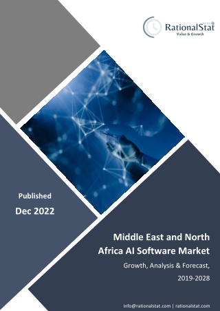 Middle East and North Africa AI Software Market | RationalStat