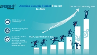 Alumina Ceramic Market Financial Performance, Strategic Developments