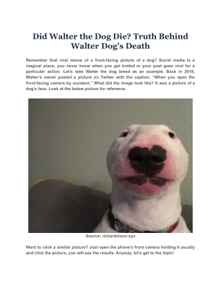 Did Walter the Dog Die Truth Behind Walter Dog’s Death