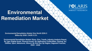 Environmental Remediation Market Size Worth $206.5 Billion By 2030 | CAGR: 8.3%