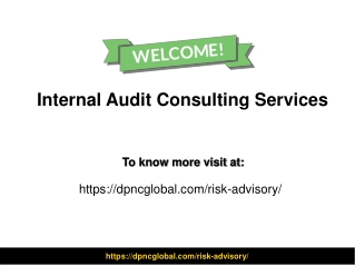 Internal Audit Consulting Services