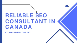 Reliable seo consultant In Canada