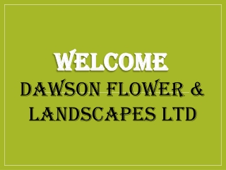Best Flowers in Covent Garden