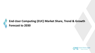 End-User Computing (EUC) Market 2023-2030; Growth Forecast & Industry Share Repo