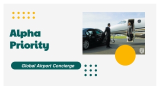 Luxury Ground Transportation | Airport Services