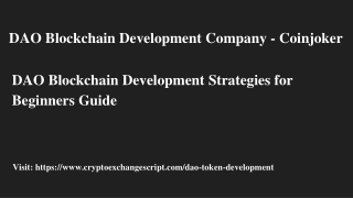 Double your profit with these few tips for better DAO blockchain development