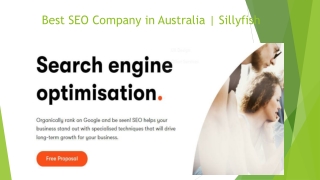 Best SEO Company in Australia  Sillyfish