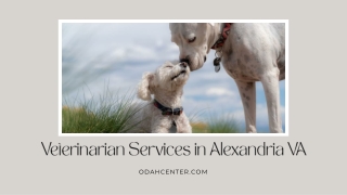 Veterinarian Services in Alexandria VA