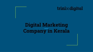 Digital Marketing Company in Kerala