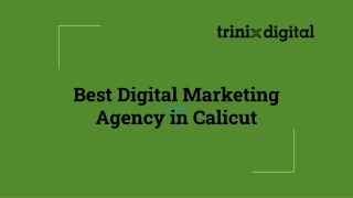 Best Digital Marketing Agency in Calicut
