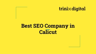 Best SEO Company in Calicut | SEO Agency