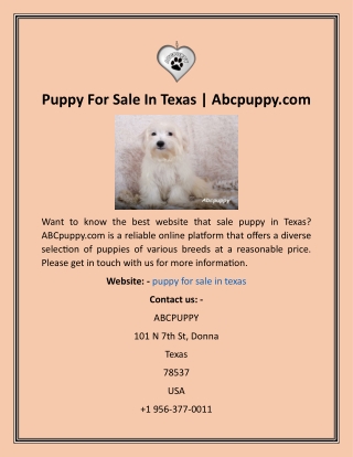 Puppy For Sale In Texas  Abcpuppy