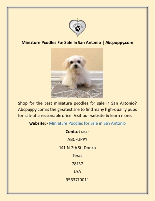 Miniature Poodles For Sale In San Antonio  Abcpuppy