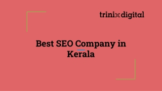 Best SEO Company in Kerala - Trinix Digital