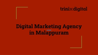 Digital Marketing Agency in Malappuram