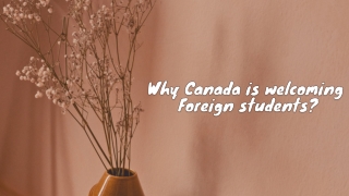 Why Canada is welcoming Foreign students