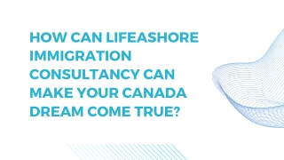 HHow immigration consultancies help in making the immigration process easy