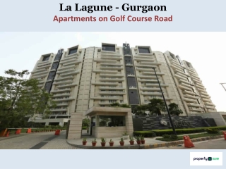 Apartments in Gurgaon - Suncity La Lagune