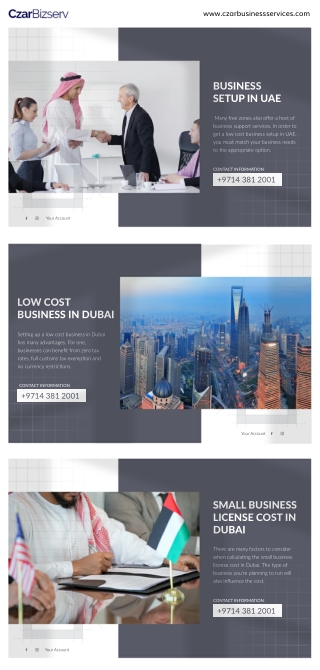 Czar Business Services - Infographics - January 2023