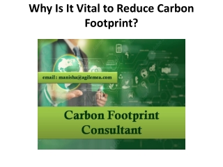 Why Is It Vital to Reduce Carbon Footprint