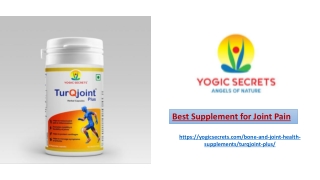 Best Supplement for Joint Pain