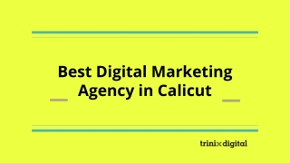 Best Digital Marketing Agency in Calicut