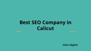 Best SEO Company in Calicut