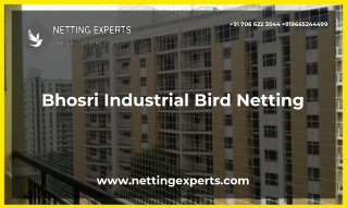 Bhosri Industrial Bird Netting