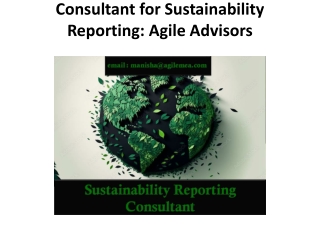 Consultant for Sustainability Reporting: Agile Advisors