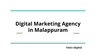 Digital Marketing Agency in Malappuram