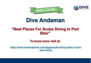 Best Places for Scuba Diving In Port Blair