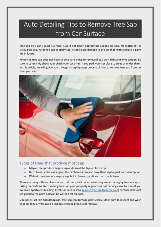 Auto Detailing Tips to Remove Tree Sap from Car Surface