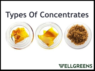 Types Of Concentrates