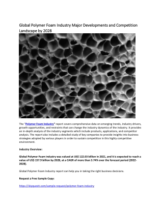 Global Polymer Foam Industry Major Developments and Competition Landscape