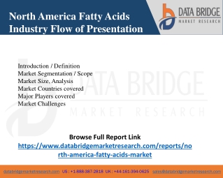 North America Fatty Acids Market Segmentation