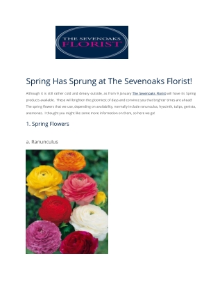 Spring Has Sprung at The Sevenoaks Florist!