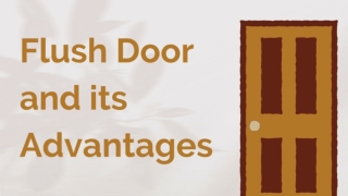 Flush Door and its Advantages