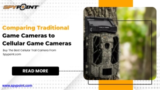 Comparing Traditional Game Cameras to Cellular Game Cameras