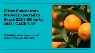 Citrus Concentrate Market Size, Share | Industry Report