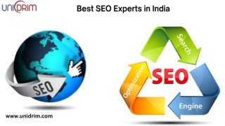 Unidrim- Best SEO Experts in India