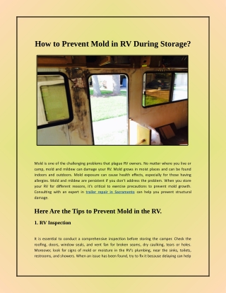 A Guide to Mold Prevention